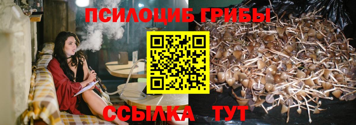Галлюциногенные грибы Psilocybe  Вход с VPN  магазин продажи   Тосно  Галлюциногенные грибы MAGIC MUSHROOMS 